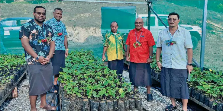  ?? Photo: Fiji Kava Limited ?? From left: Phama Plus Country Director, Navi Tuivuniwai, iTaukei Trust Fund Board (TTFB) chief executive officer, Aisake Taito, TUTU Rural Training Center director, Fr Eparama Matairatu, PS Ministry of iTaukei Affairs Pita Tagicakire­wa and Owner & Founder Fiji KAVA Zane Yoshida around the noble variety kava inside the newly donated nursery.