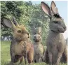  ??  ?? BUNNIES Watership Down