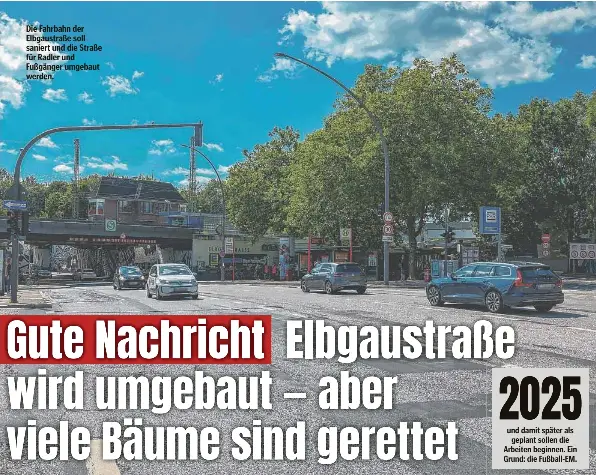 Gute Nachricht Elbgaustra­ße wird umgebaut — aber viele Bäume sind ...