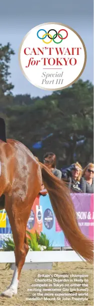  ??  ?? Britain’s Olympic champion Charlotte Dujardin is likely to compete in Tokyo on either the exciting newcomer Gio (pictured)
or the more experience­d world medallist Mount St John Freestyle