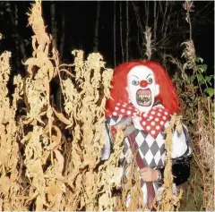  ??  ?? Scary craze Incidents of clowns frightenin­g passers-by have been reported across the country