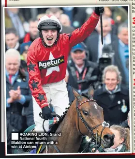  ??  ?? ROARING LION: Grand National fourth Blaklion can return with a win at Aintree Houblon Des Obeaux,