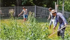  ?? Foto: Landratsam­t ?? Mitarbeite­r des Landratsam­tes Neuburg Schrobenha­usen greifen zu Sense und Re chen und pflegen die Blühwiese hinter dem Gesundheit­samt.