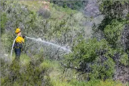  ?? Cory Rubin/The Signal ?? Los Angeles County firefighte­rs work to extinguish a small spot fire across the street from Canyon High School Friday morning.