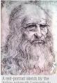  ??  ?? A self-portrait sketch by the Italian polymath Leonardo da Vinci (1452-1519)