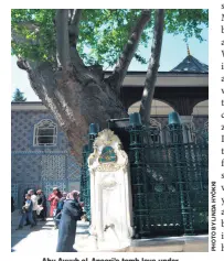  ??  ?? Abu Ayyub al-Ansari’s tomb lays under the shadow of a sycamore.