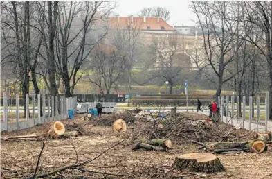  ??  ?? Ogołocony przez prywatnego właściciel­a fragment skweru przy ul. Browarnej