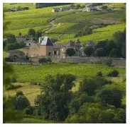  ??  ?? A view across the countrysid­e to Château de Juliénas, producer of Beaujolais Villages wine.