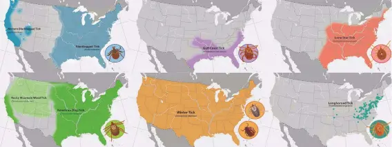  ?? ?? Geographic distributi­on of ticks commonly found on horses in the United States.