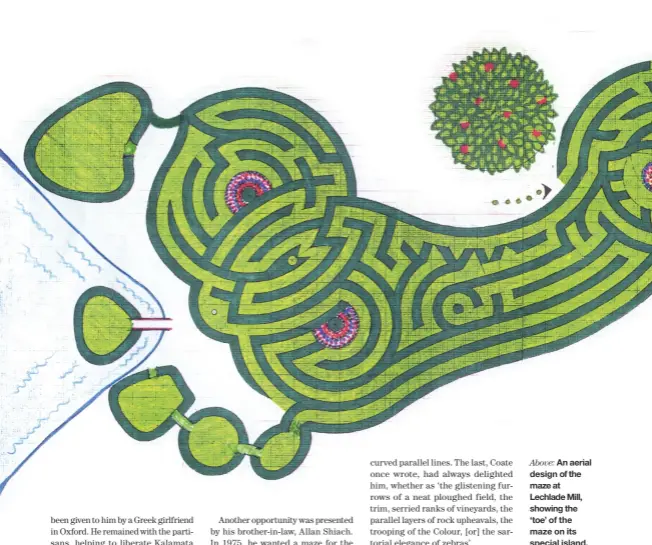  ??  ?? Above: An aerial design of the maze at Lechlade Mill, showing the ‘toe’ of the maze on its special island. Bottom left and top right: A frog and a penguin, examples of the symbols hidden within the maze at Lechlade