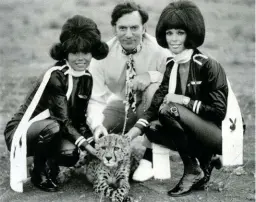  ??  ?? Miaow! Hugh Hefner, two Bunnies and a cheetah