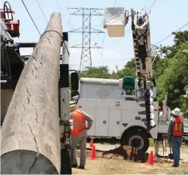  ?? FOTOS: YAZMÍN SÁNCHEZ ?? Realizan colocación de postes temporales para sostener las líneas.