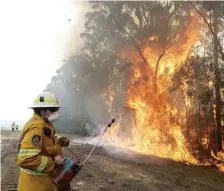  ?? Bild: Rick Rycroft ?? En brandman tänder under torsdagen en kontroller­ad brand nära Tomerong, New South Wales i Australien, i ett försök att begränsa en närliggand­e brand.