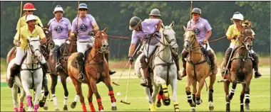  ?? PHOTO PROVIDED. ?? The Saratoga Polo Associatio­n’s 120th anniversar­y season was in 2018.