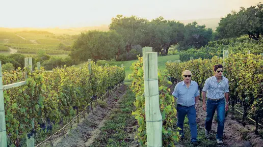  ??  ?? petroliere
Ha comprato vigneti in Chianti, a Bolgheri e a Montalcino
Possiede 330 ettari di tenute tra Montalcino, Bolgheri e il Chianti Classico Alejandro Bulgheroni insieme al figlio tra i vigneti di una delle tenute di famiglia