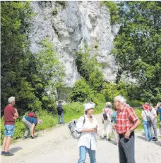  ?? FOTO: HEINZ THUMM ?? Im Rappenfels­en brüten seit Jahren Wanderfalk­en erfolgreic­h, auch ein Kolkrabenp­aar hat seinen Horst auf dem Felsen.