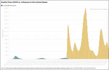  ?? FLOURISH GRAPHIC BY HARRIET ROWAN ?? A Flourish data visualizat­ion that shows the deaths from COVID vs. influenza in the United States.