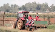  ?? | Reuters ?? AGRICULTUR­E can generate more work, and in job- scarce rural areas, at a lower cost to the government than the motor industry, says the writer.