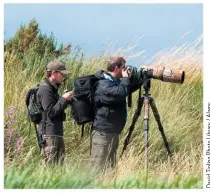  ??  ?? Genuine birders who take photos tend not to disturb their subject