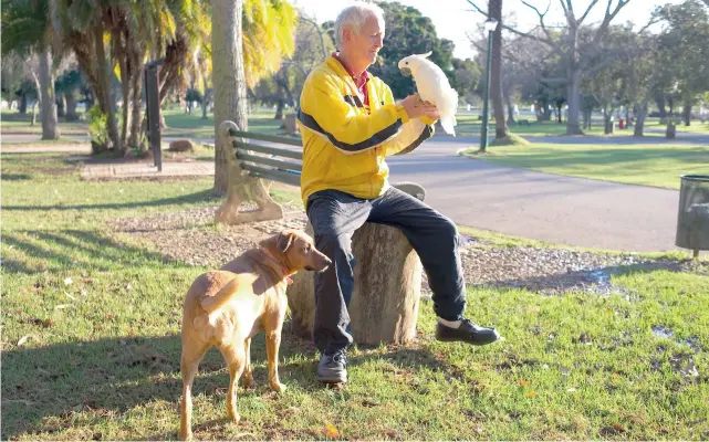  ?? PICTURES: HENK KRUGER ?? TAKING A BREAK: Derick de Kock and his cockatoo, Prince, along with his dogs visit De Waal Park at least twice a day to enjoy the tranquil surrounds.