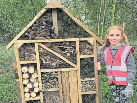  ?? PHOTO: IWA ?? A young volunteer with the bug hotel at Lock 10.