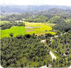  ?? ?? Lush, verdant forests and mountains can also be found in San Vicente.