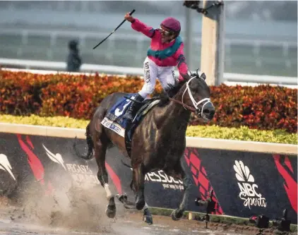  ?? AL DIAZ adiaz@miamiheral­d.com ?? Jockey Javier Castellano celebrates as he rides City of Light to victory in the $9 million Pegasus World Cup Invitation­al at Gulfstream Park.