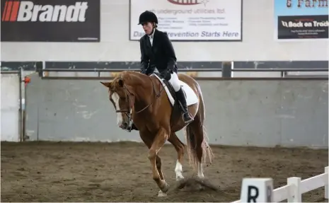  ?? CITIZEN PHOTO BY JAMES DOYLE ?? Danine Miller and her horse Artfully Told Tales compete in the dressage event of the Cadora P.G. Classic horse show on Sunday afternoon at the Agriplex in Exhibition Park.