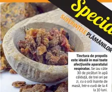  ??  ?? Tinctura de propolis este ideală în mai toate afecţiunil­e aparatului respirator. Se iau câte 30 de picături în apă călduţă, de trei ori pe zi, cu o oră înainte de masă, într-o cură de la 4 la 10 luni.