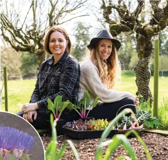  ?? ?? Lucy Hutchings (right) and Kate Cotterill of She Grows Veg. Inset: An artichoke flower
Pic: She Grows Veg/PA/All other pics: Alamy/PA