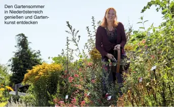  ??  ?? Den Gartensomm­er in Niederöste­rreich genießen und Gartenkuns­t entdecken