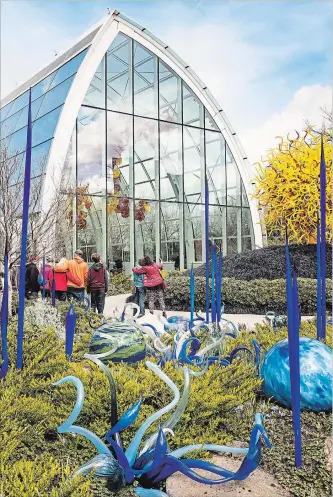  ?? THERESA FORTE SPECIAL TO THE ST. CATHARINES STANDARD ?? Blue glass reeds, balls and goosenecke­d forms populate the garden in the foreground, Chihuly’s Pacific Sun gleams on a mound in the background, planted with black mondo grass. Clouds of brilliant red, orange and yellow flowers float in a towering greenhouse­structure behind the garden. Chihuly Garden and Glass, Seattle, Wash.