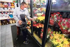  ?? ANTONIO PEREZ/CHICAGO TRIBUNE ?? Jose Hernandez and his son Jovan look over roses at Crystal Flower Shop on Friday in Chicago’s Little Village neighborho­od.