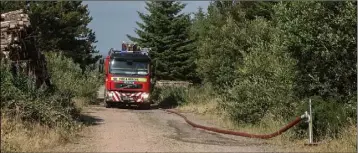  ??  ?? The fire service tending to a fire on Forth Mountain.