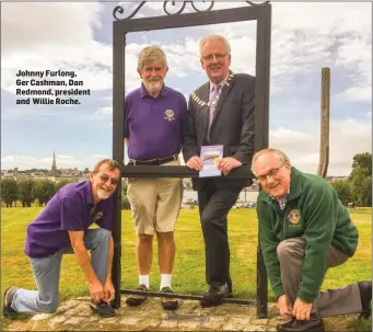  ??  ?? Johnny Furlong, Ger Cashman, Dan Redmond, president and Willie Roche.