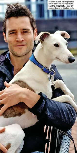  ??  ?? Dr Luke Evans has expressed his support for new plans to ban the import of dogs with cropped ears or docked tails.
