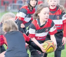  ??  ?? Determined County’s U12 girls enjoyed their first matches.