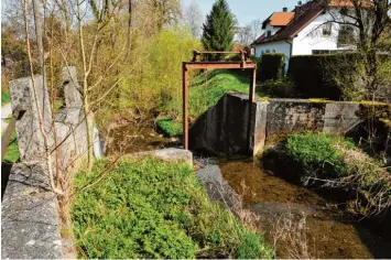  ??  ?? Das Wehr am Uttinger Mühlbach soll zurückgeba­ut und zu einer Fischtrepp­e umgestalte­t werden.