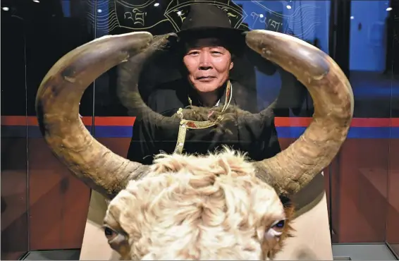  ?? CHOGO / XINHUA ?? Wu Yuchu poses for a photo at the Yak Museum.