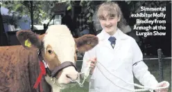  ??  ?? Simmental exhibitor Molly
Bradley from Armagh at the Lurgan Show