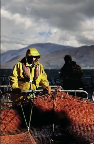  ??  ?? Salmon farms will conduct risk assessment­s on the use of acoustic deterrent devices