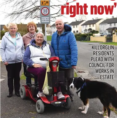  ?? Photo by Michelle Cooper Galvin ?? Residents of Iveragh Park Maureen Gamble, Mary O’Shea, Lorna Richardson and Tommy Riordan with Dino who want to highlight the 30km and Slow Zone sign at Iveragh Park, Killorglin.