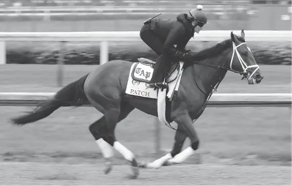  ?? JAMIE SQUIRE/GETTY IMAGES ?? Patch will be the fourth one-eyed thoroughbr­ed to run in the Kentucky Derby, the 143rd edition of which goes Saturday at Churchill Downs.