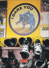  ?? AP PHOTO ?? A sign showing Stanley the Blue Dog hangs in the Nashville Predators locker room in Nashville, Tenn.