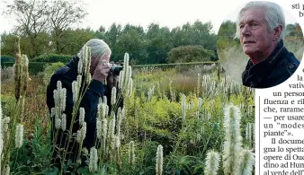  ??  ?? Colori Sopra Piet Oudolf, olandese, 72 anni, fotografa con grande attenzione le