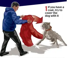  ?? ?? 1
If you have a coat, try to cover the dog with it
