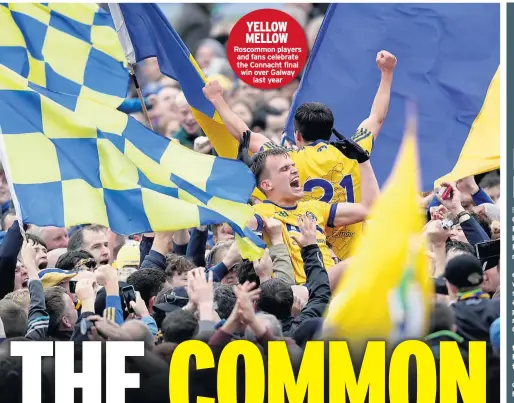  ??  ?? YELLOW MELLOW Roscommon players and fans celebrate the Connacht final win over Galway last year