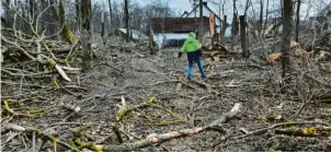  ?? Foto: Winfried Rein ?? Hier ist ein Harvester durchgefah­ren: Direkt am Joshofener Weiher hat die Stadt einen Auwaldstre­ifen „auslichten“lassen.