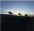  ??  ?? Training at the all weather gallops in Seven Barrows, Lambourn, Berkshire