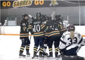  ?? ?? The Stoney Creek Sabres celebrate a goal against North York during action at Gateway Arena in January.